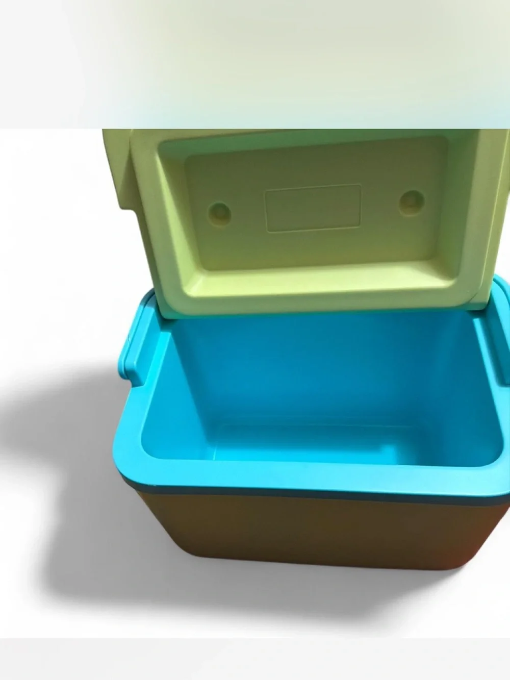 Plastic Storage Basket with Lid in Lime and Teal - Home Kitchen